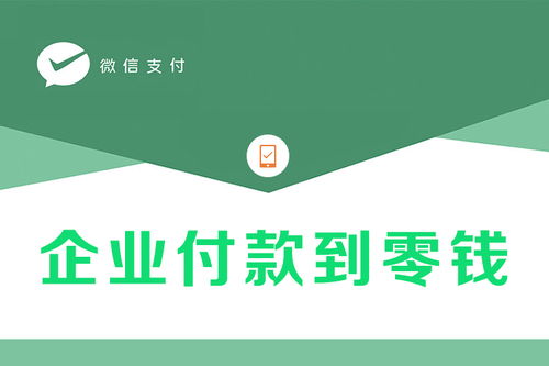 企業(yè)付款到零錢開通詳解與信息咨詢服務(wù)
